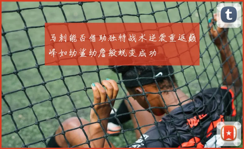 马刺能否借助独特战术逆袭重返巅峰如幼鲨幼詹般蜕变成功