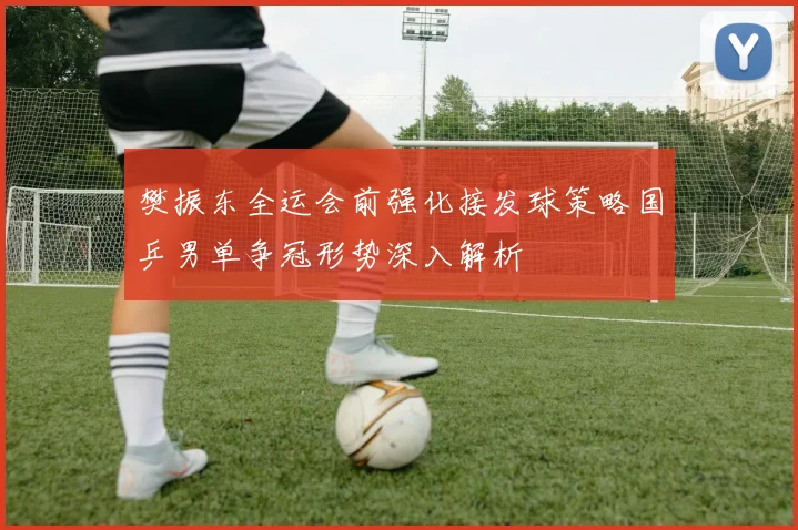 樊振东全运会前强化接发球策略国乒男单争冠形势深入解析