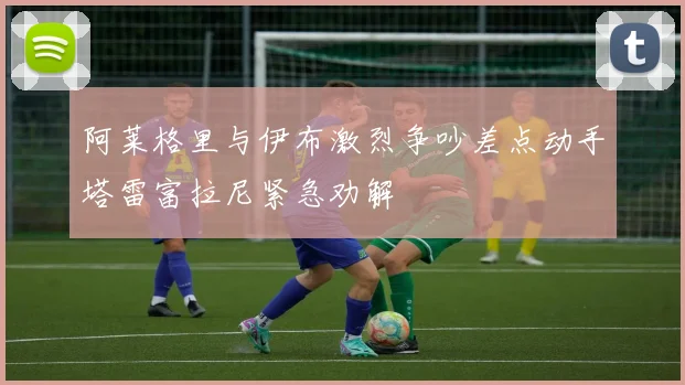 阿莱格里与伊布激烈争吵差点动手塔雷富拉尼紧急劝解