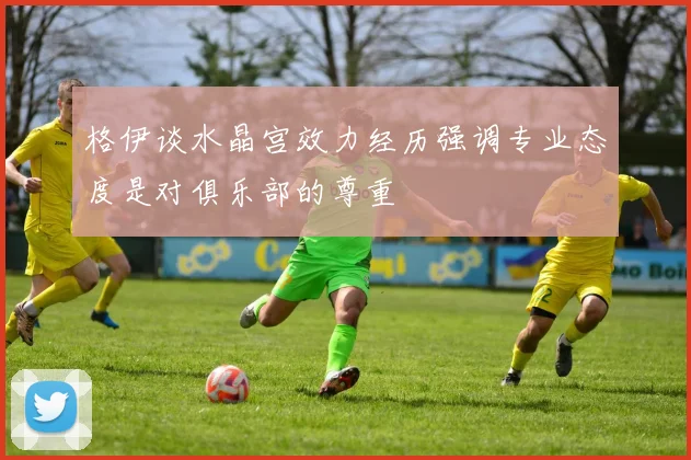 格伊谈水晶宫效力经历强调专业态度是对俱乐部的尊重