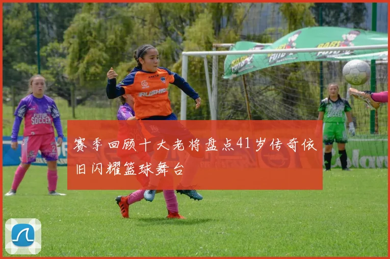 赛季回顾十大老将盘点41岁传奇依旧闪耀篮球舞台